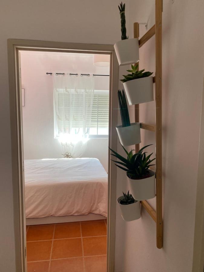Apartamento Vicentino Вила Нова де Милфонтеш Екстериор снимка