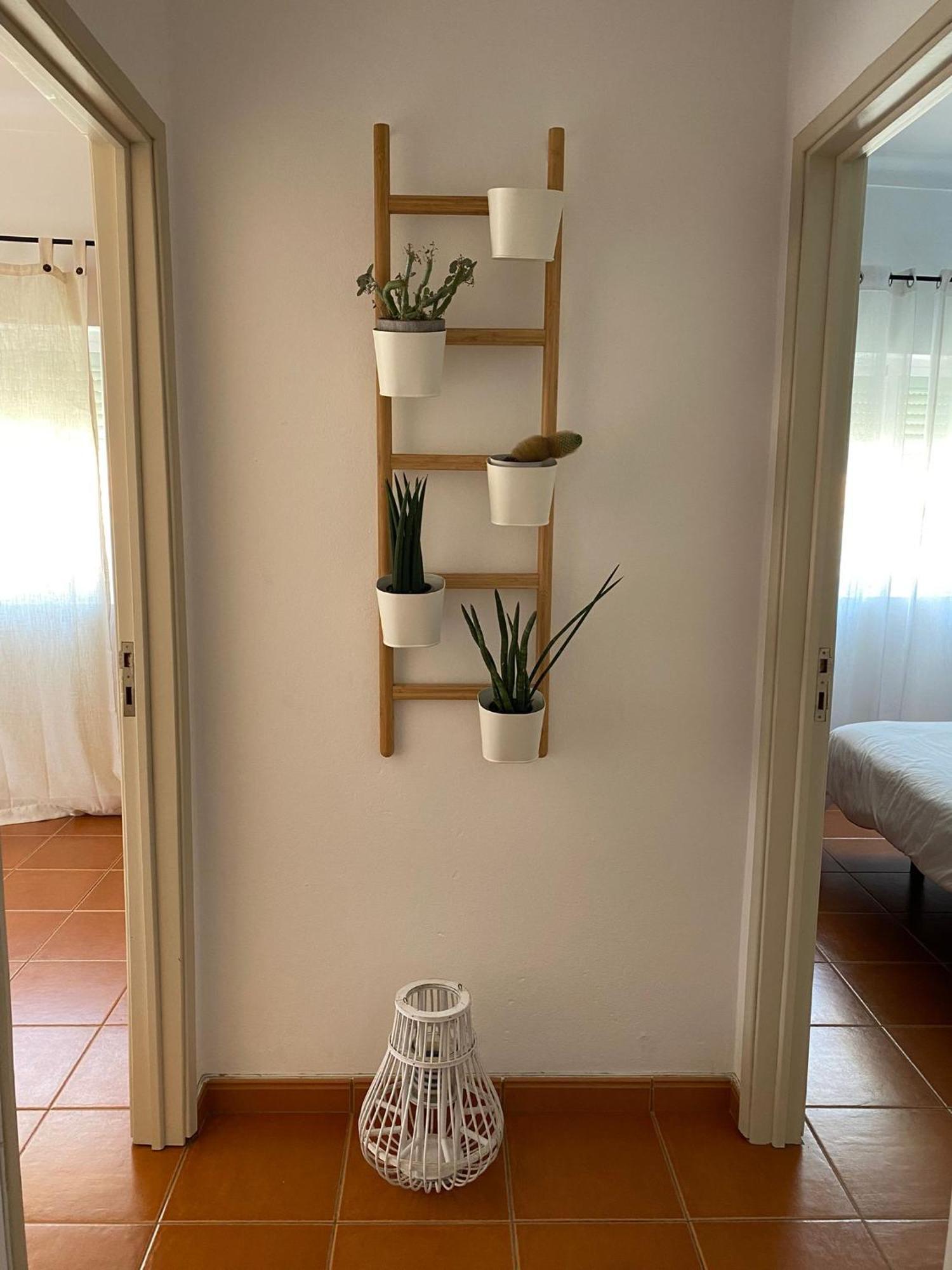 Apartamento Vicentino Вила Нова де Милфонтеш Екстериор снимка